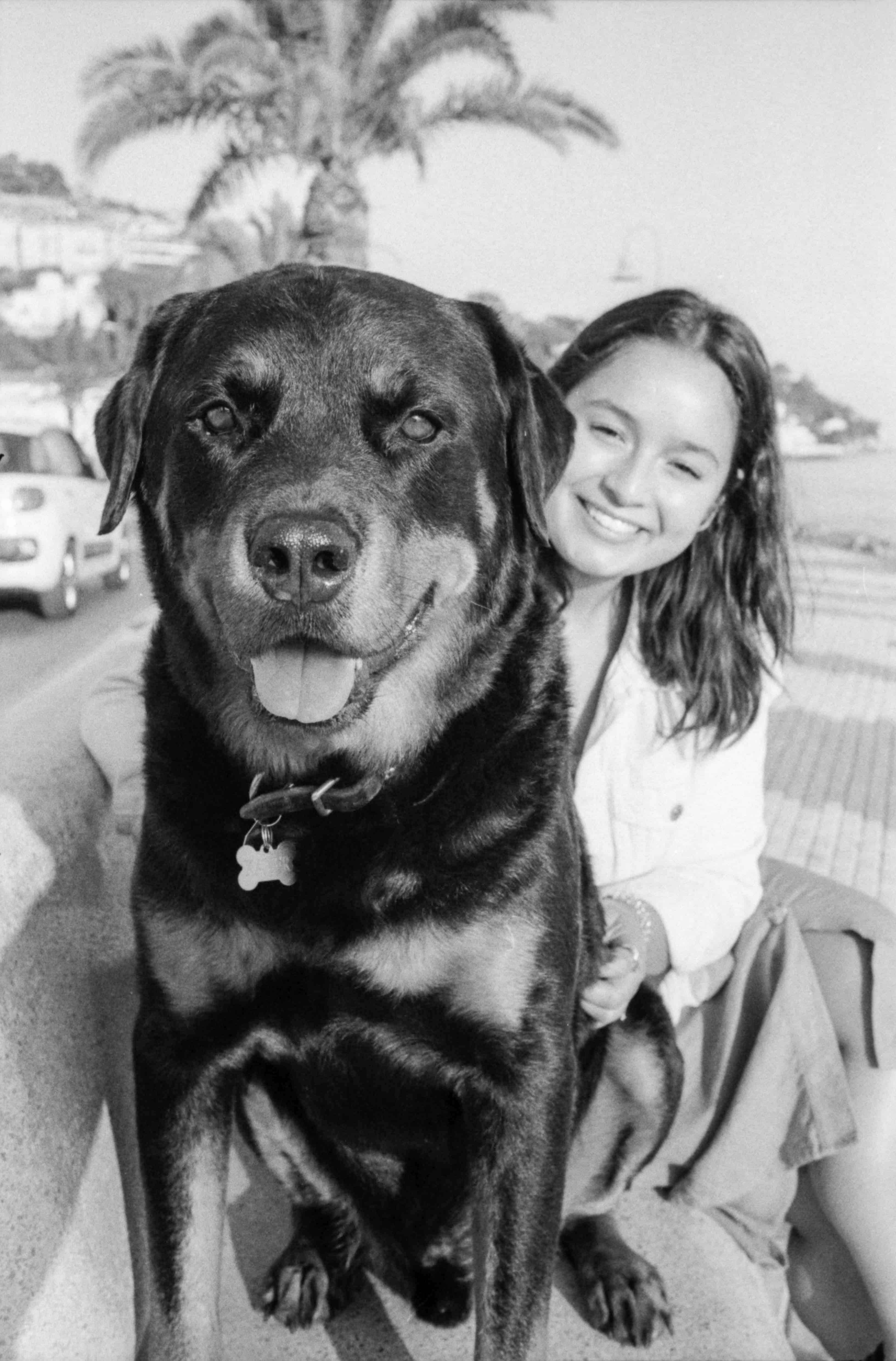travelling in europe with a dog