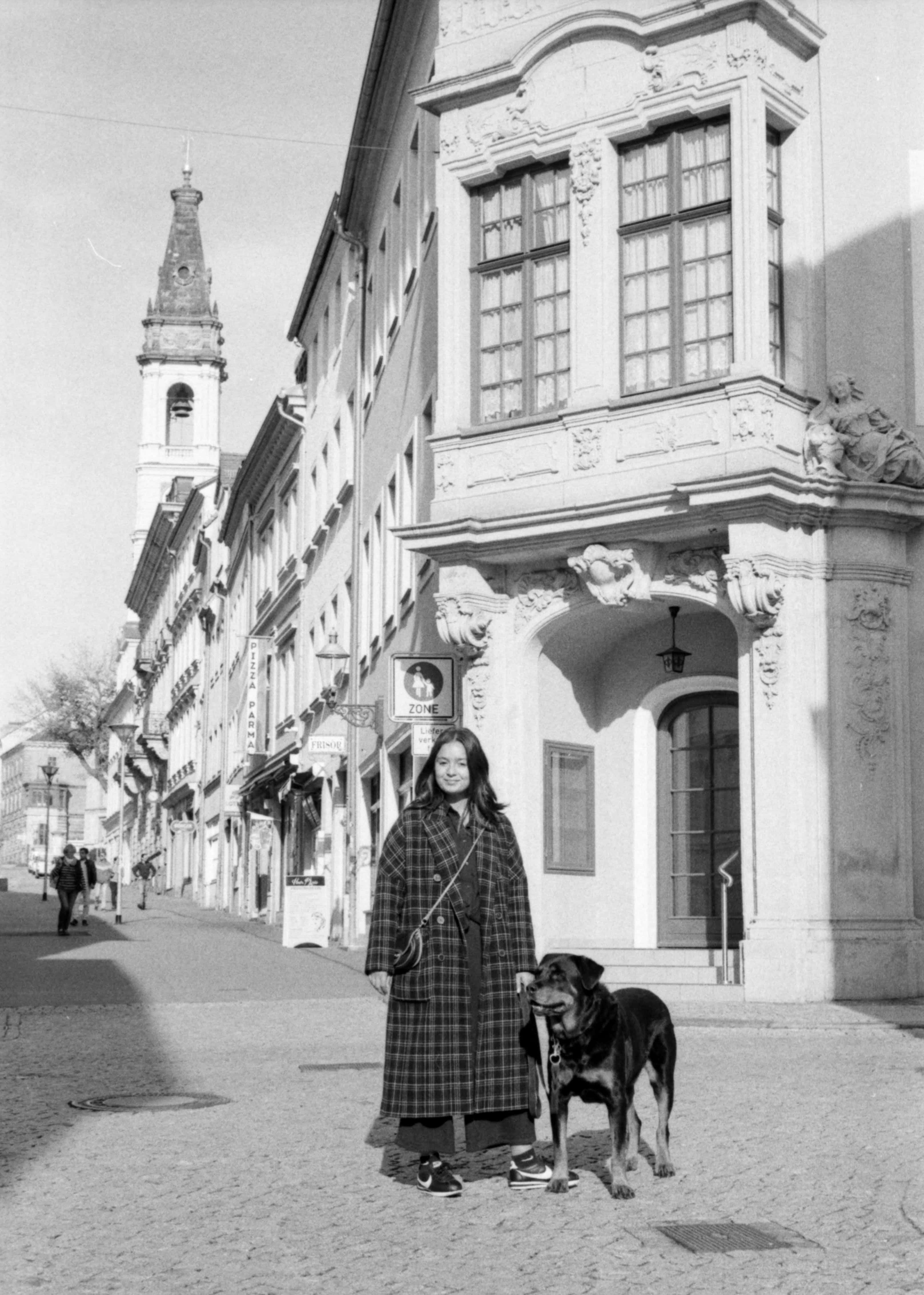 best dogs for traveling