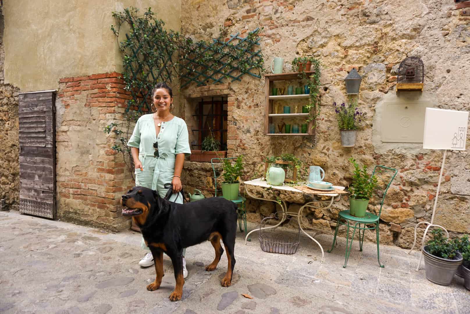 international travel with pet