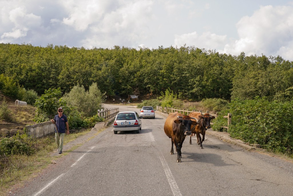 Rural Streets of Albania
