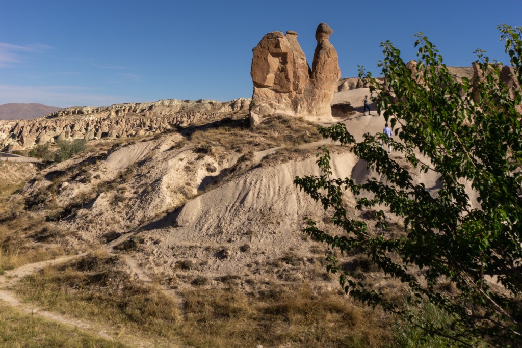 Imagination Valley Camel Cappadocia